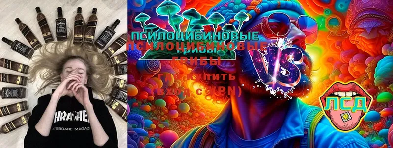 Псилоцибиновые грибы Psilocybine cubensis  Набережные Челны 